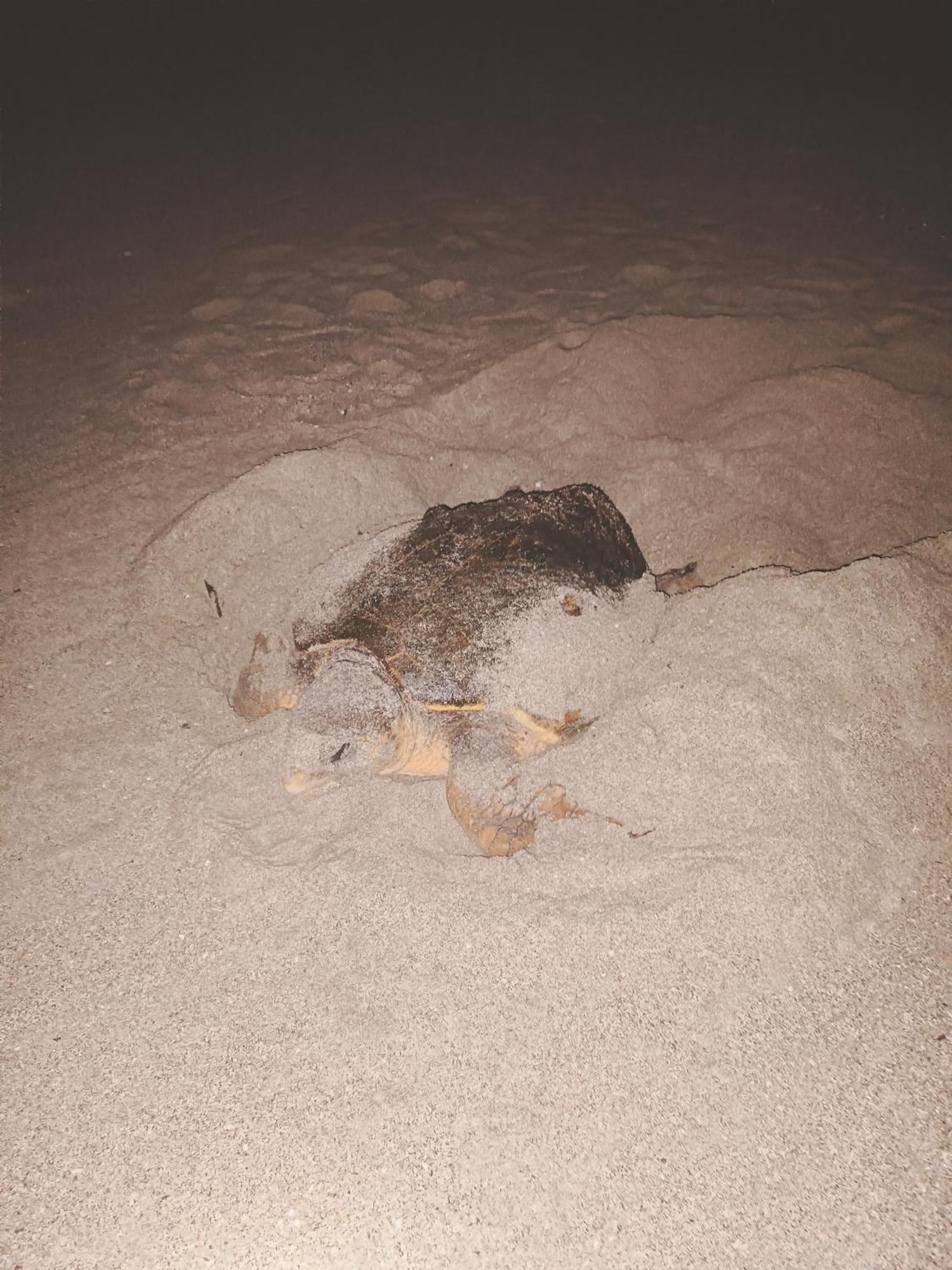 Masirah Beach Camp Masirah Island ภายนอก รูปภาพ