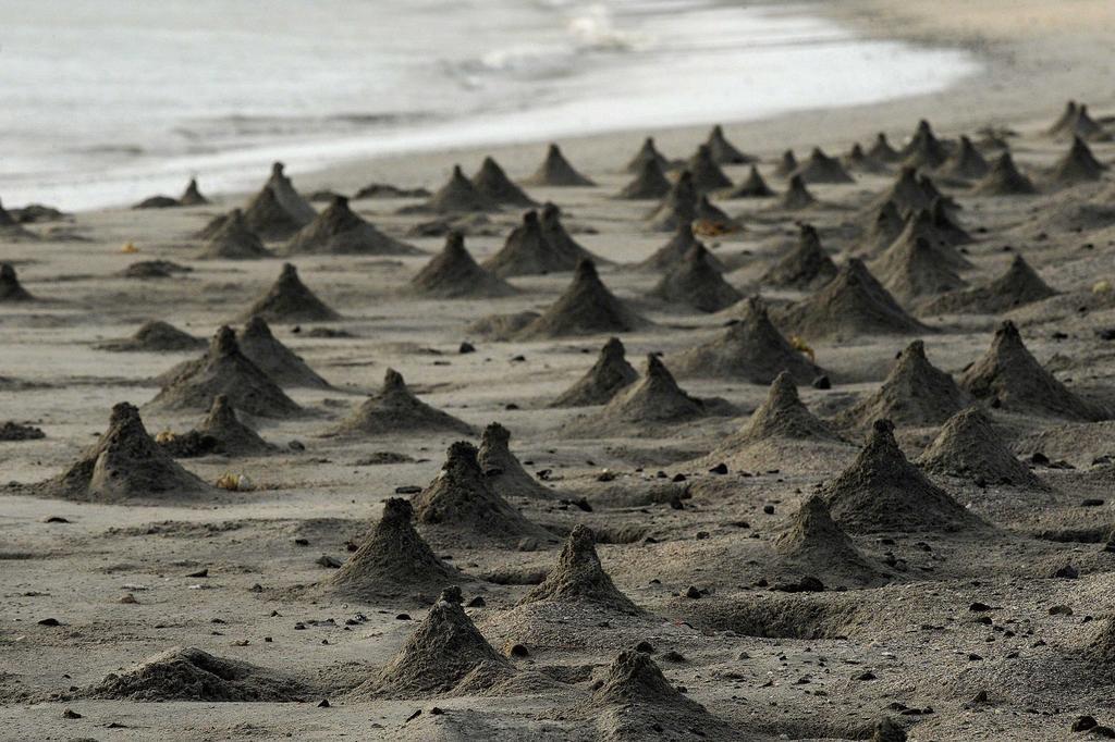 Masirah Beach Camp Masirah Island ภายนอก รูปภาพ